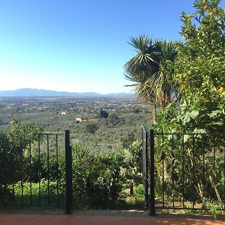 Agriturismo Podere Rondinaio Lamporecchio Zewnętrze zdjęcie