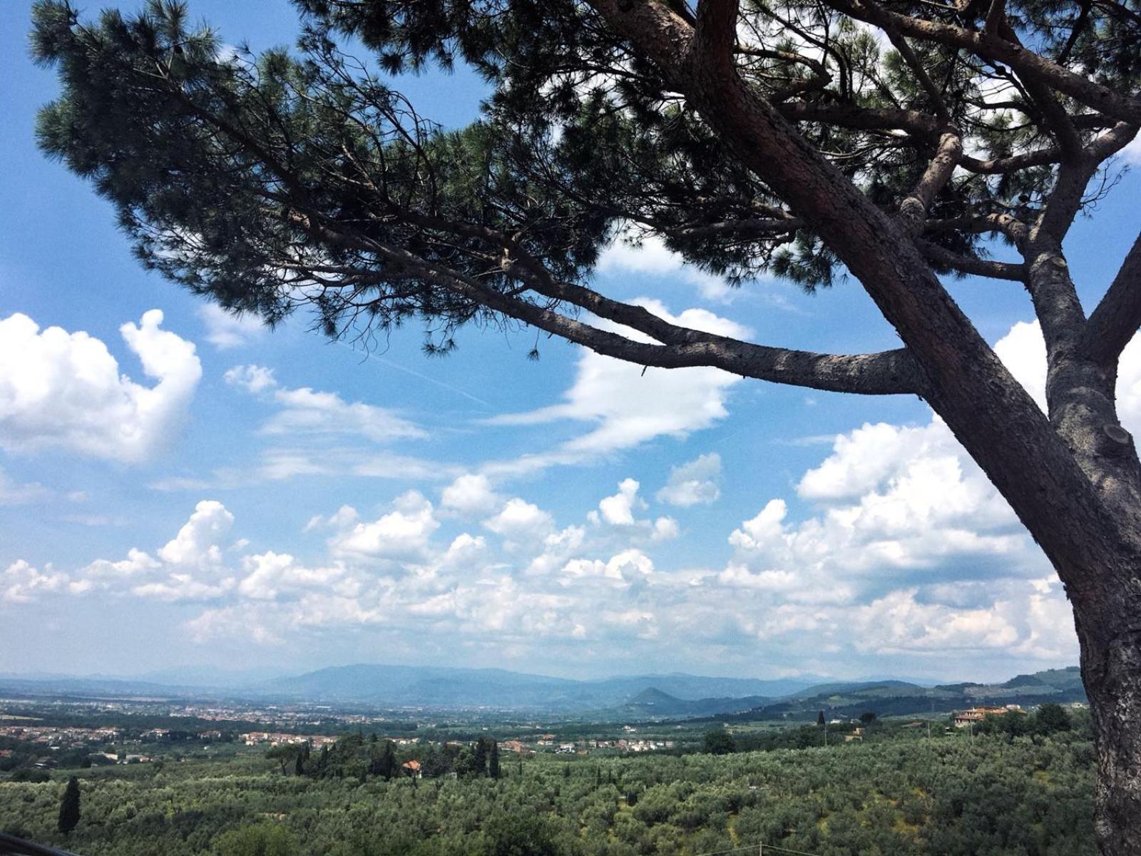 Agriturismo Podere Rondinaio Lamporecchio Zewnętrze zdjęcie