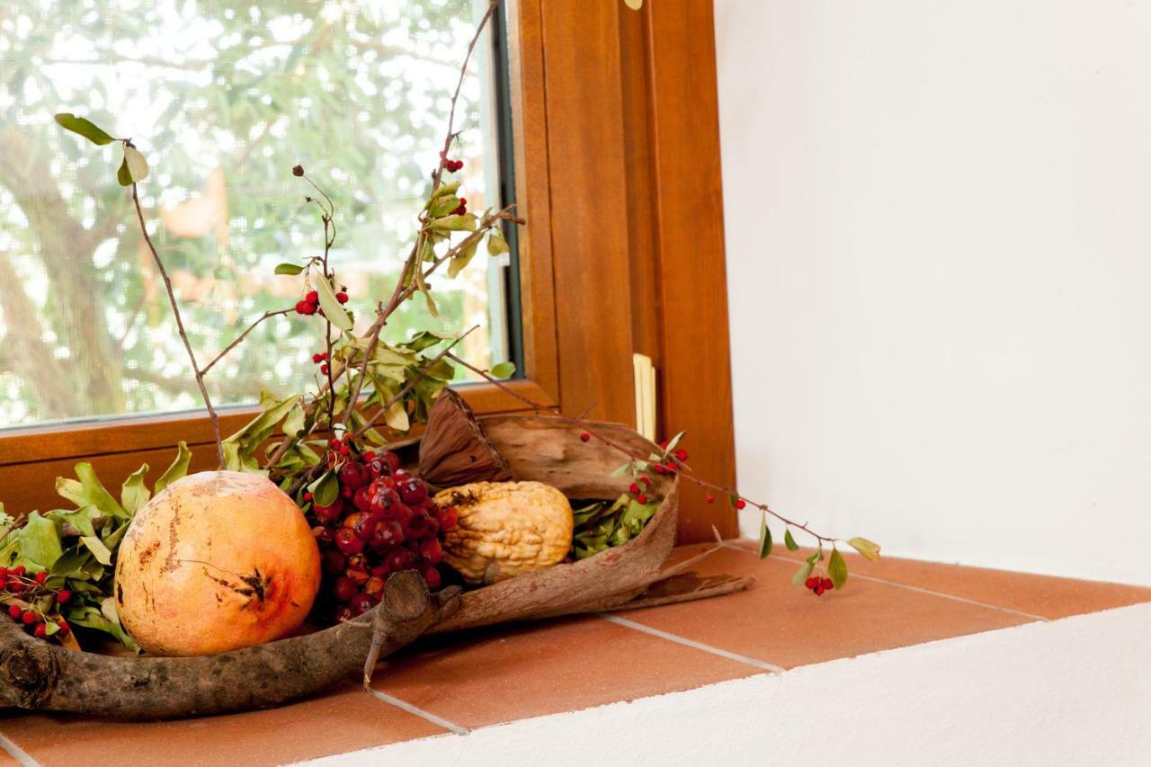 Agriturismo Podere Rondinaio Lamporecchio Zewnętrze zdjęcie
