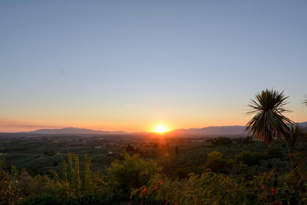 Agriturismo Podere Rondinaio Lamporecchio Zewnętrze zdjęcie