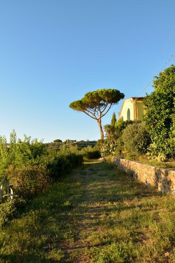 Agriturismo Podere Rondinaio Lamporecchio Zewnętrze zdjęcie