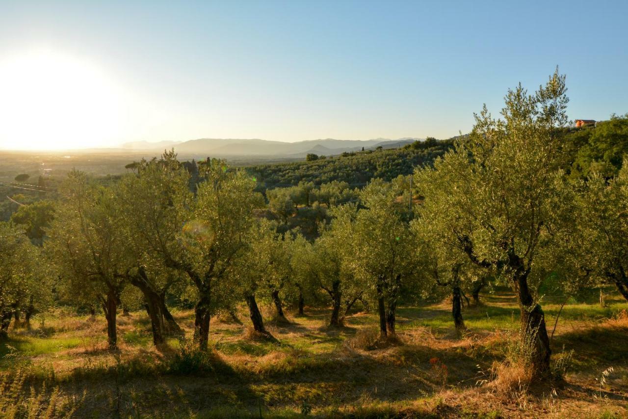 Agriturismo Podere Rondinaio Lamporecchio Zewnętrze zdjęcie