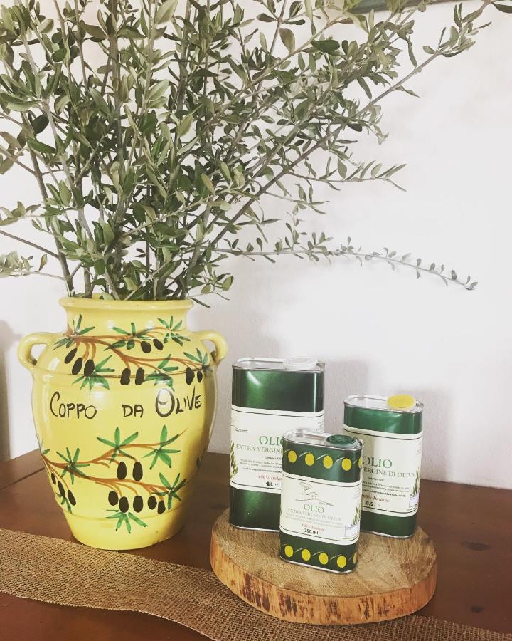 Agriturismo Podere Rondinaio Lamporecchio Zewnętrze zdjęcie